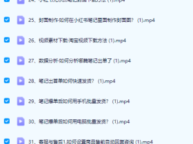 关于小红书如何图文带货的课程