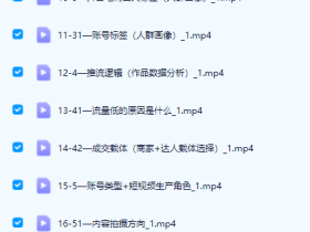 抖音基础课程+进阶版课程 (短视频+直播)