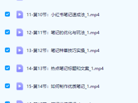 小红书电商运营实操详解