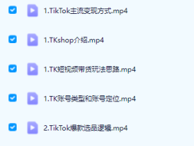 TikTok怎么开店-新手入门从0-1实操教程
